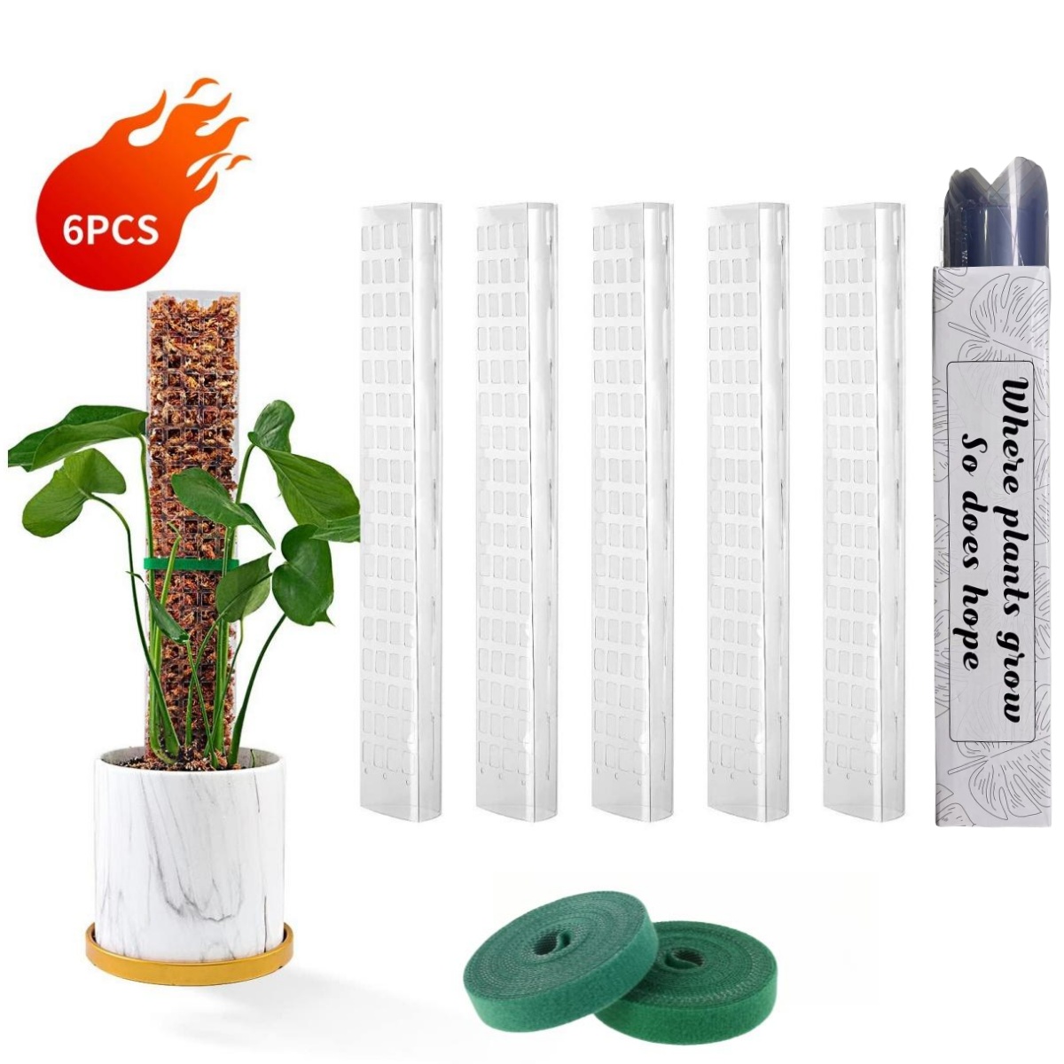 Pólos de musgo plantas suporte - Sphagnum Moss Dry avaliação e preço