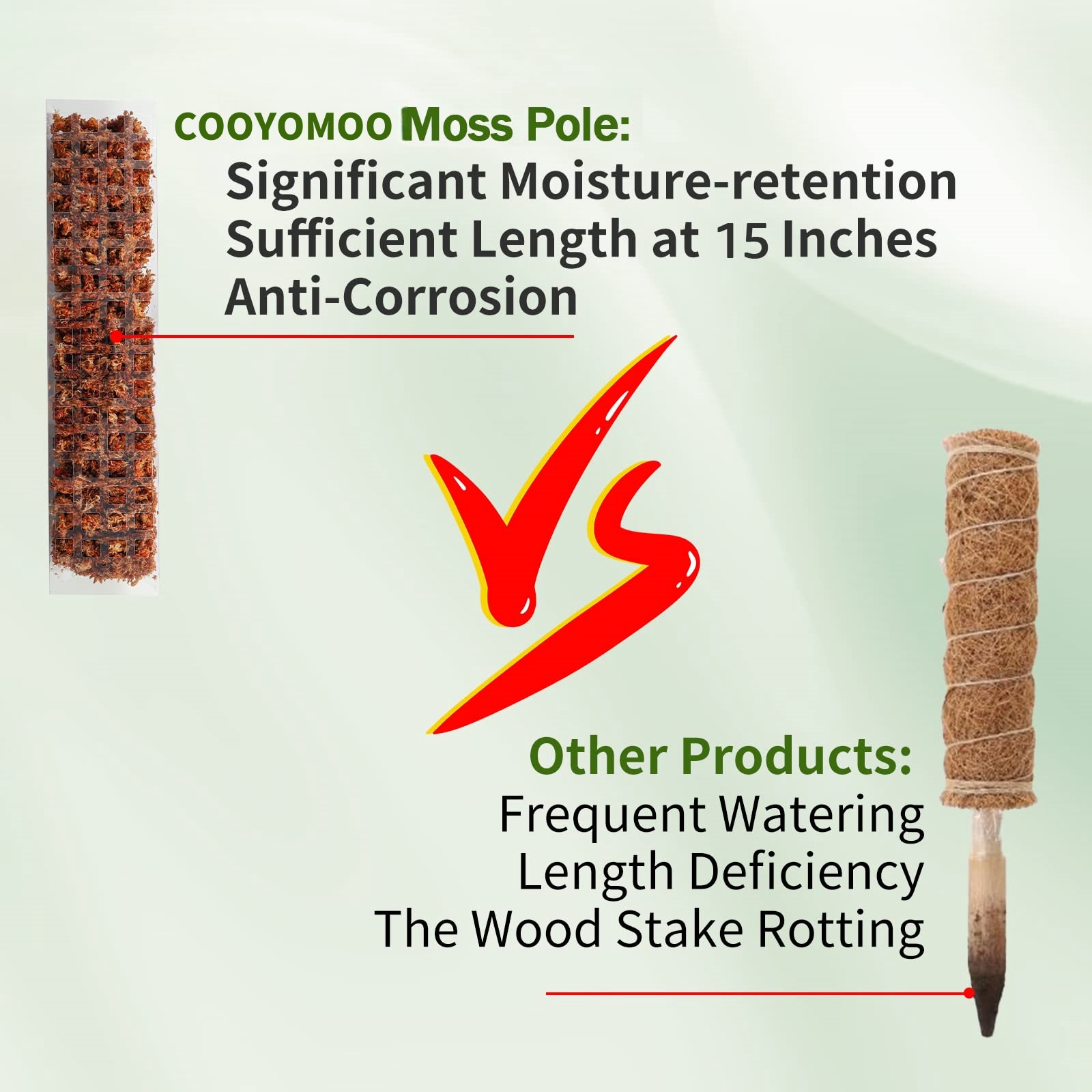 Pólos de musgo plantas suporte - Sphagnum Moss Dry avaliação e preço