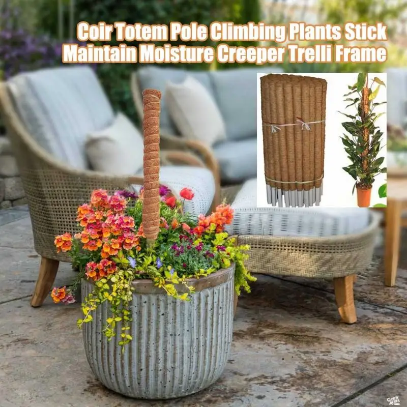 30/40/50cm planta de escalada  - Sphagnum Moss Dry avaliação e preço