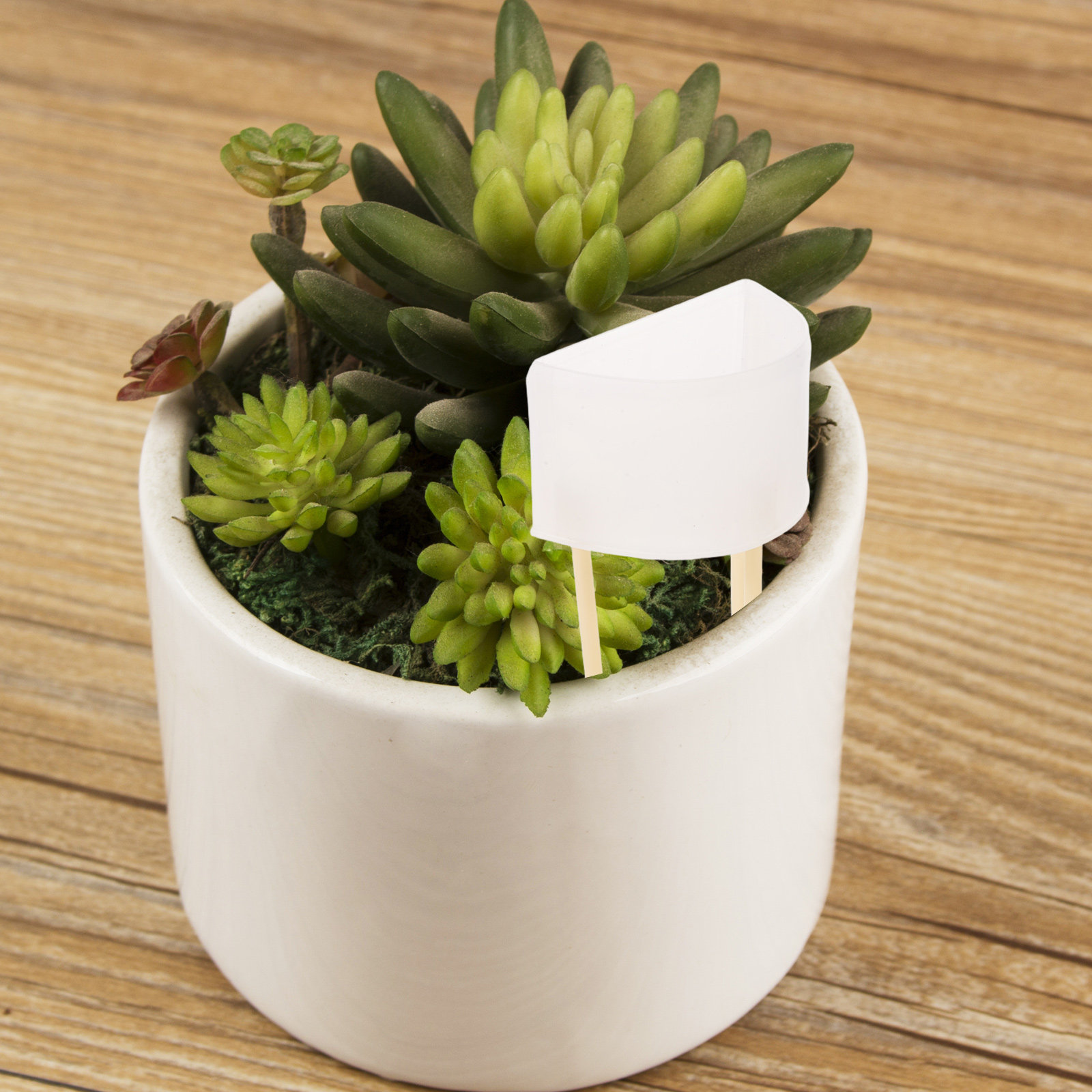 Espeto de irrigação automático - Self Watering Insert avaliação e preço