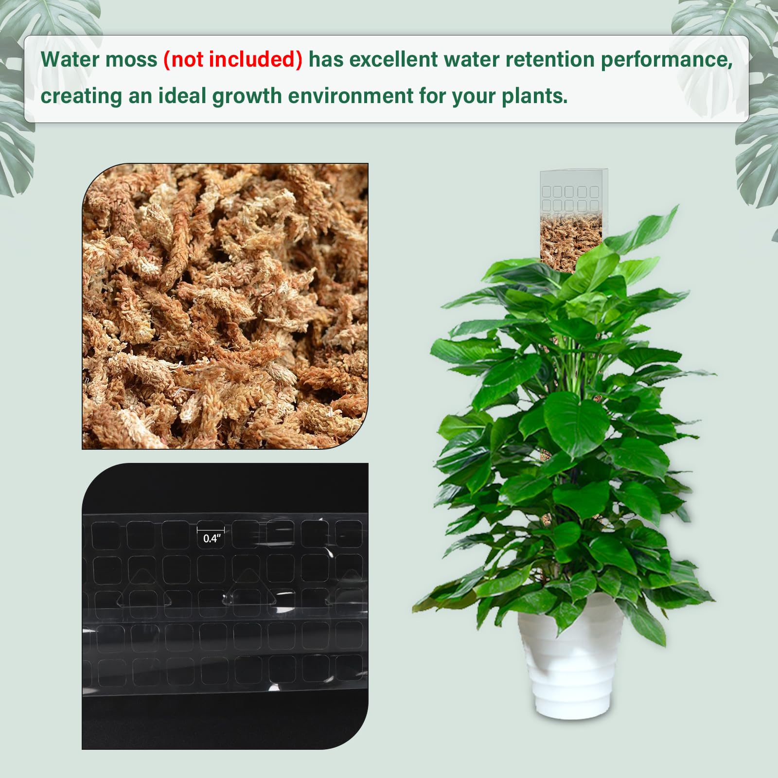Suporte de Plástico para Plant - Sphagnum Moss Dry avaliação e preço