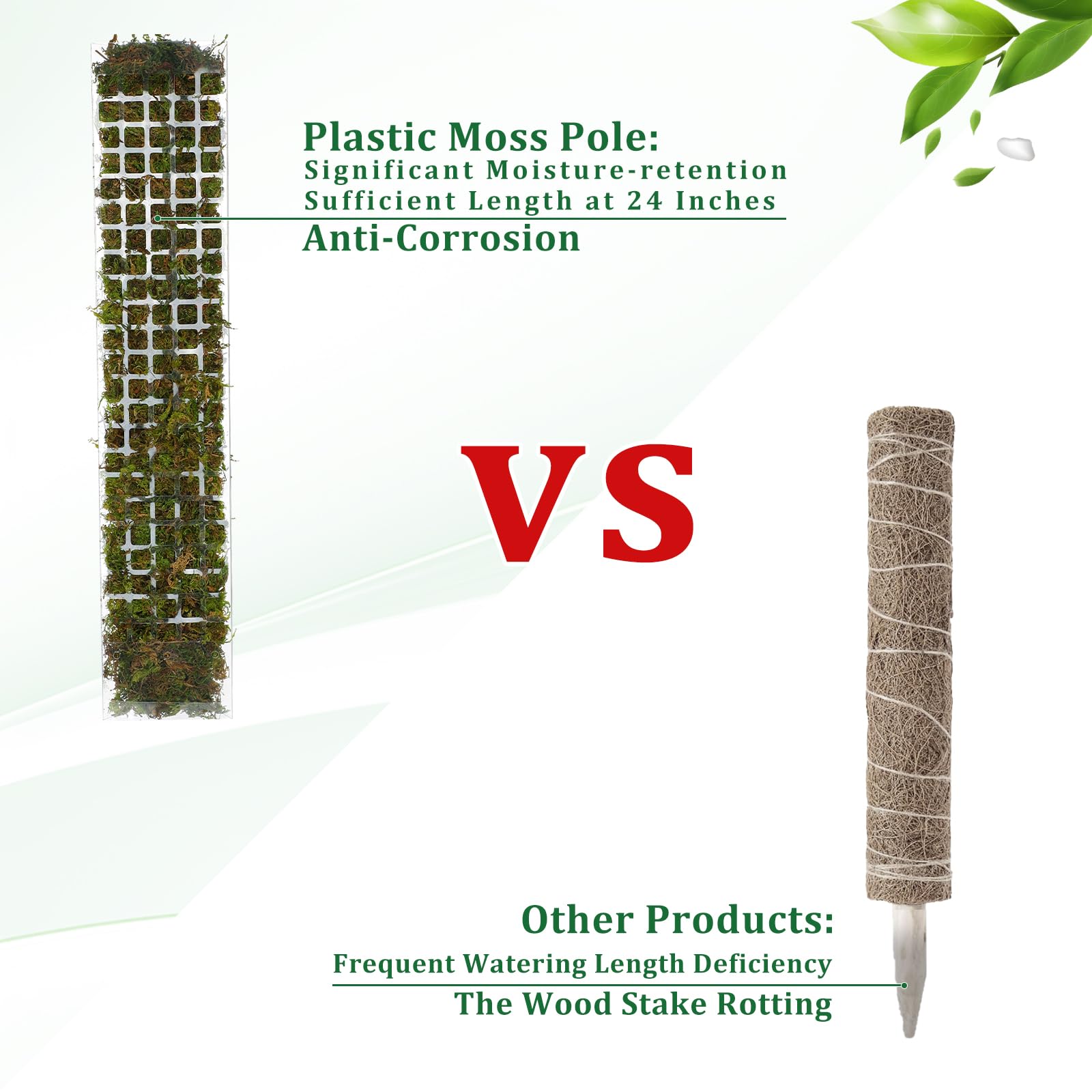 Suporte de Plástico para Plant - Sphagnum Moss Dry avaliação e preço