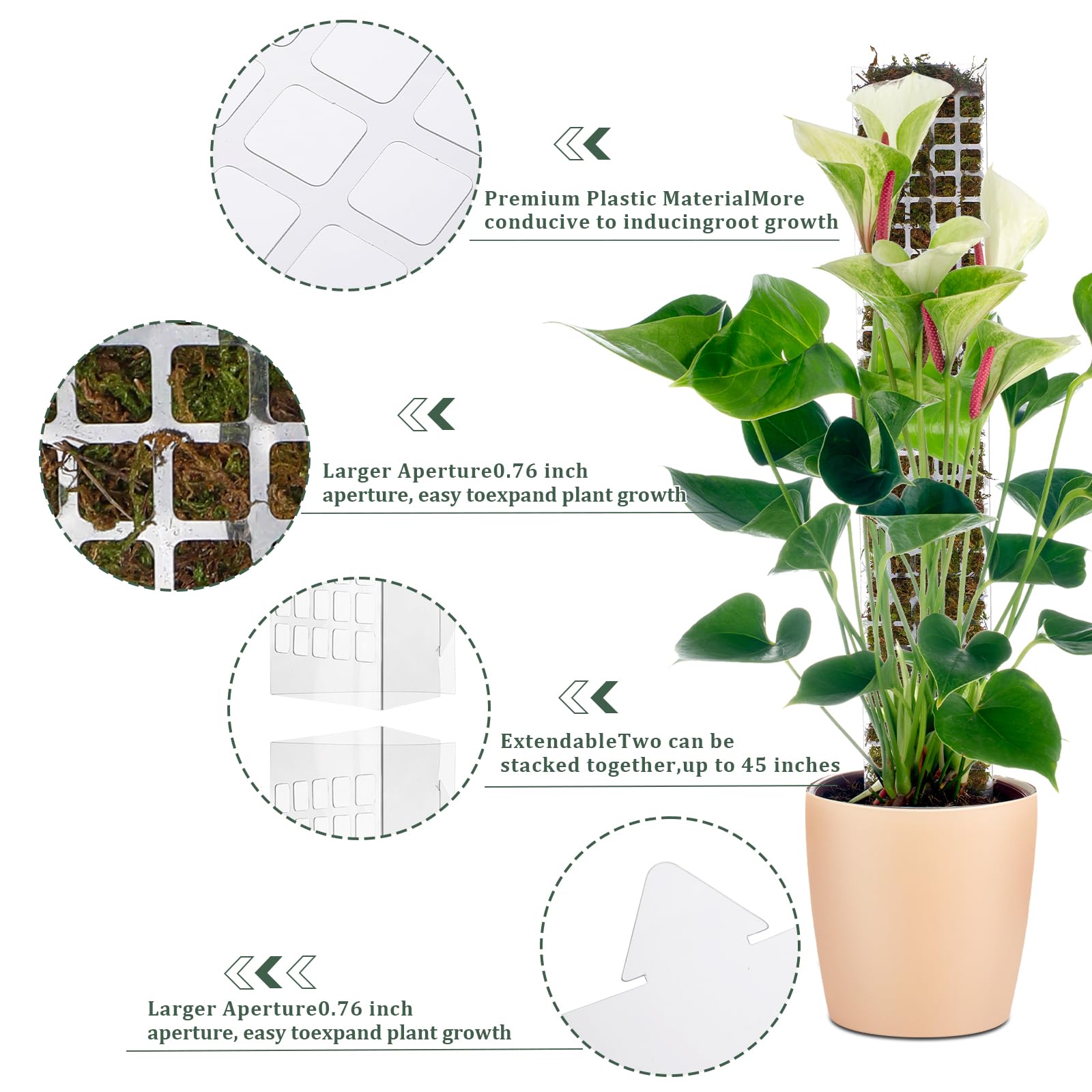 Suporte de Plástico para Plant - Sphagnum Moss Dry avaliação e preço