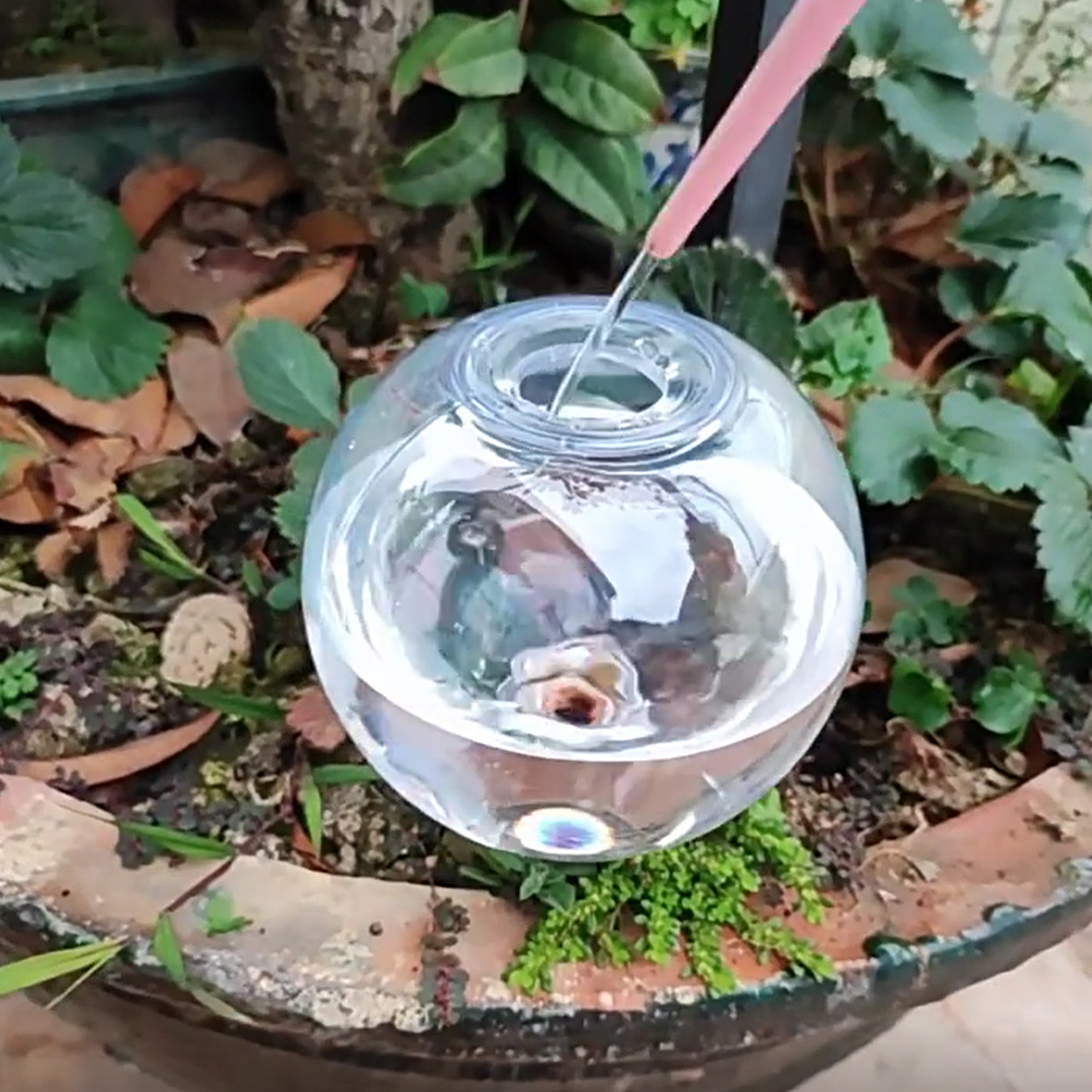 Globos de Irrigação Automática - Self Watering Insert avaliação e preço