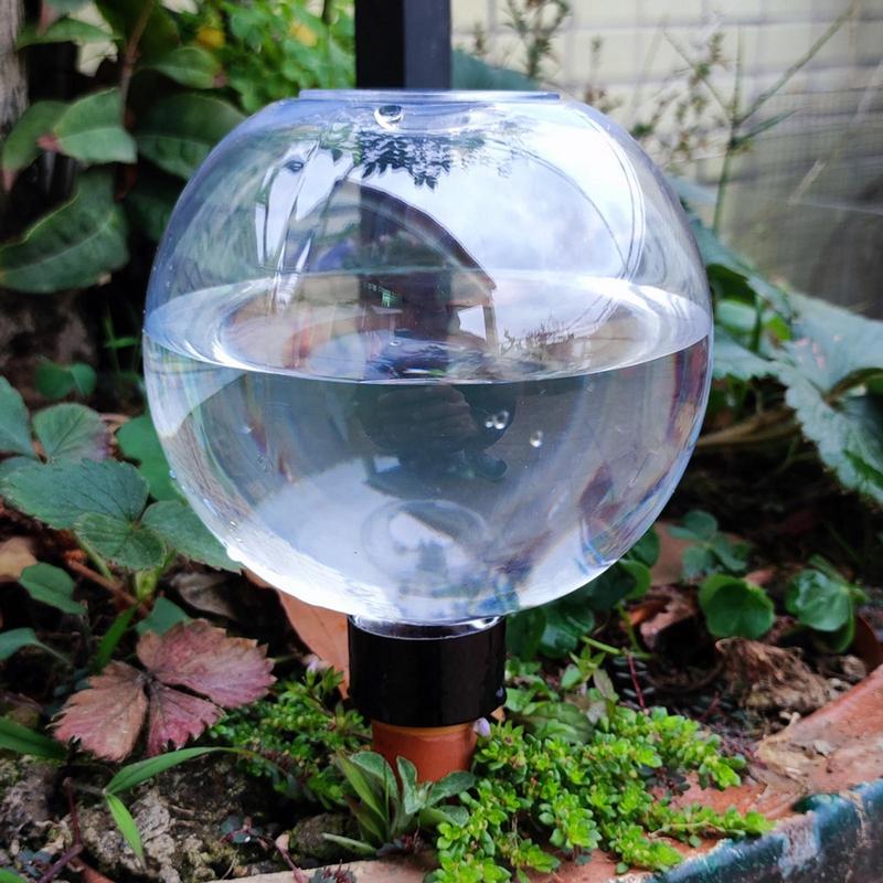Lâmpadas de rega de plantas au - Self Watering Insert avaliação e preço