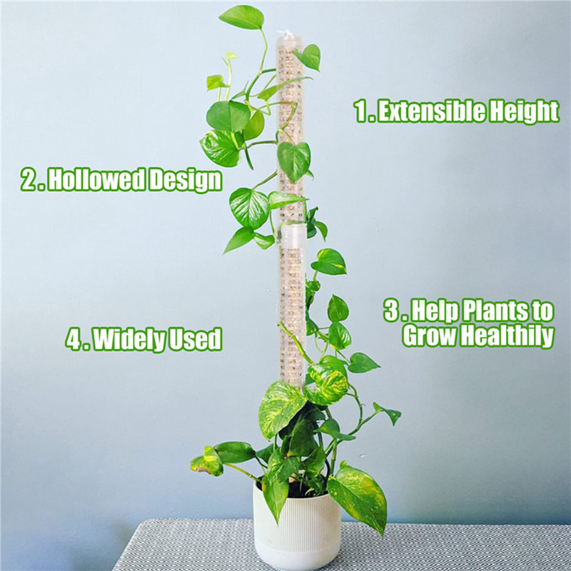 Coluna de Suporte para Plantas - Sphagnum Moss Dry avaliação e preço