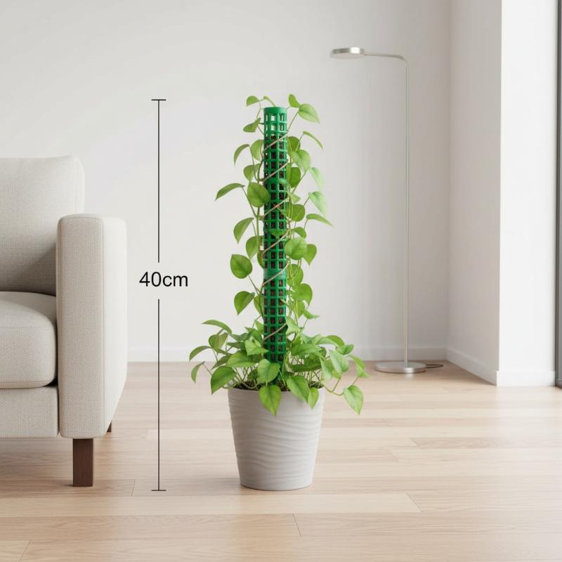 Suporte para Plantas Trepadeir - Sphagnum Moss Dry avaliação e preço