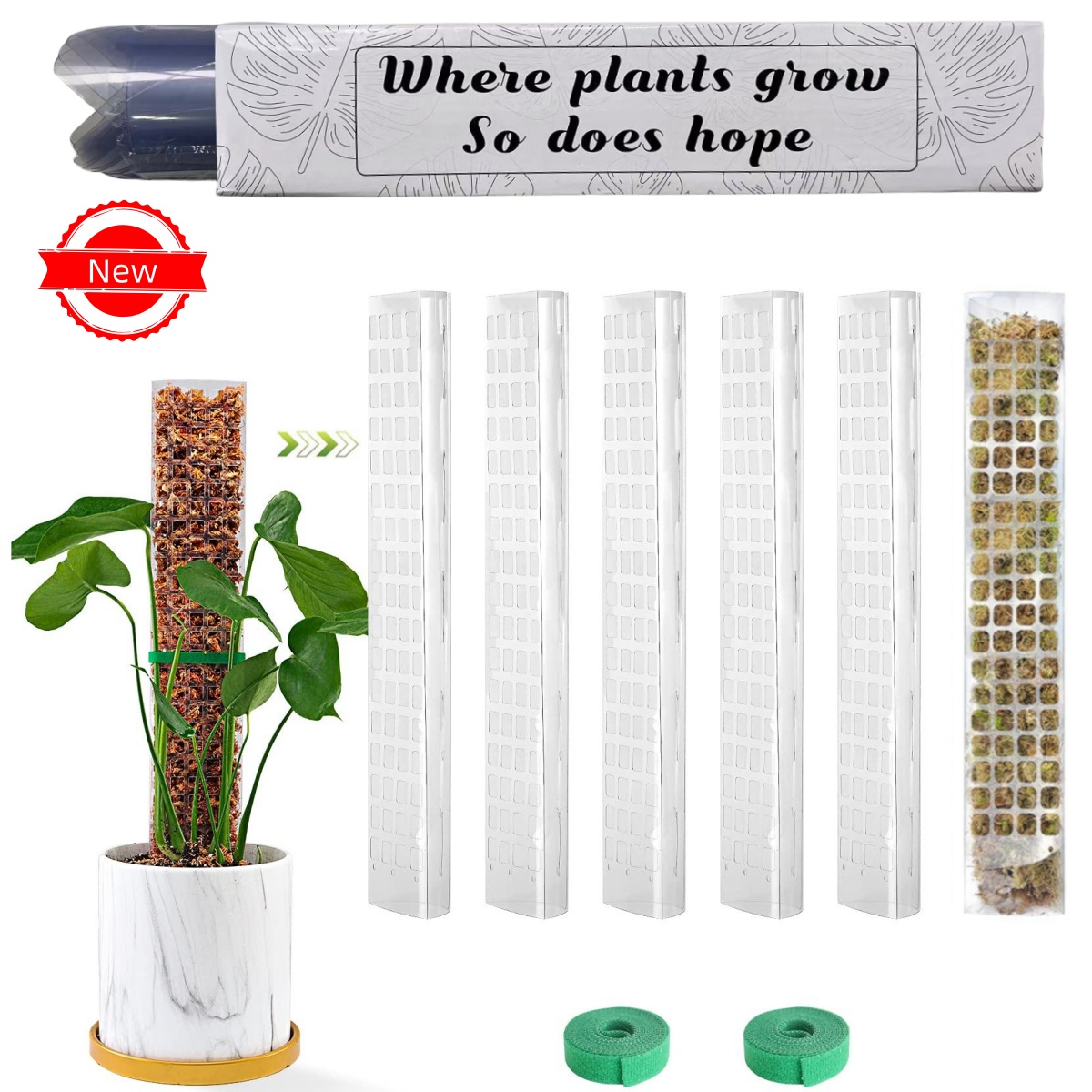 Plantas musgo pólo jardim assu - Sphagnum Moss Dry avaliação e preço