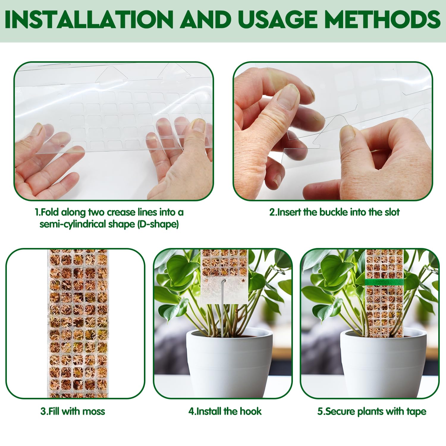 Plantas musgo pólo jardim assu - Sphagnum Moss Dry avaliação e preço