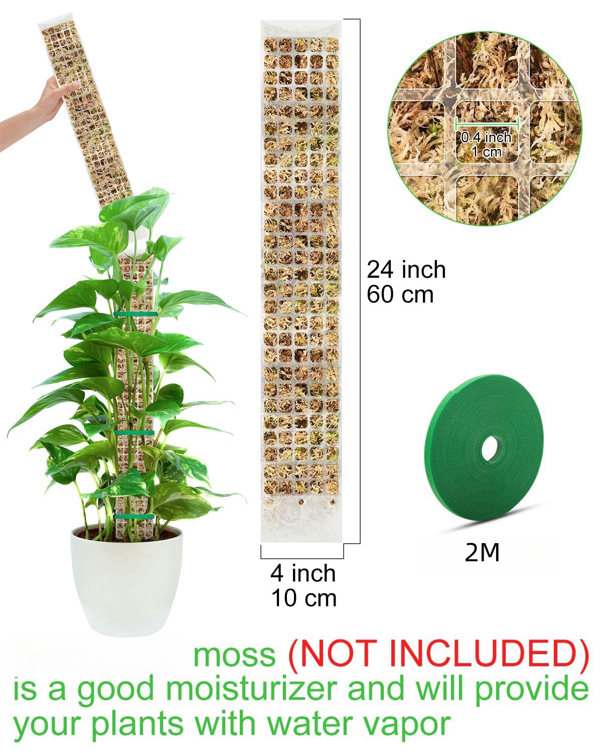 Plantas musgo pólo jardim assu - Sphagnum Moss Dry avaliação e preço